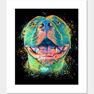 Colorful pitbull Posters and Art